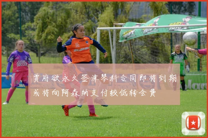 贾府欲永久签津琴科合同即将到期或将向阿森纳支付较低转会费