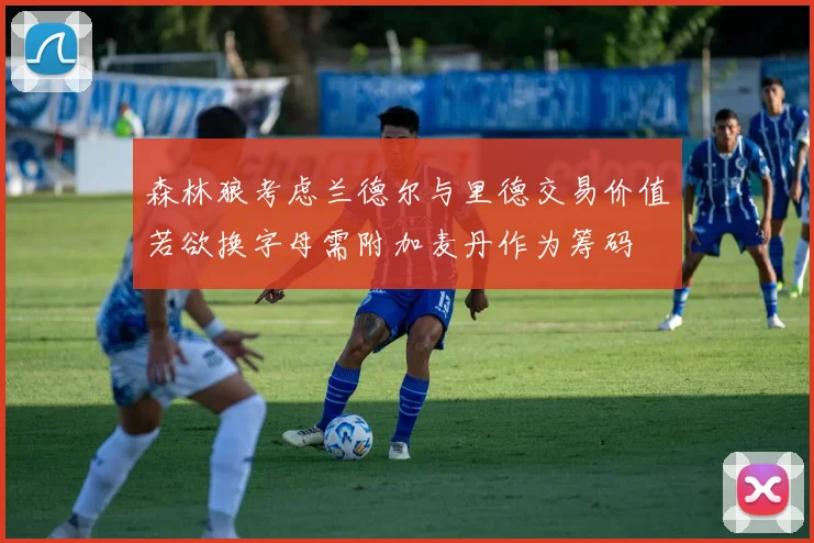 森林狼考虑兰德尔与里德交易价值若欲换字母需附加麦丹作为筹码
